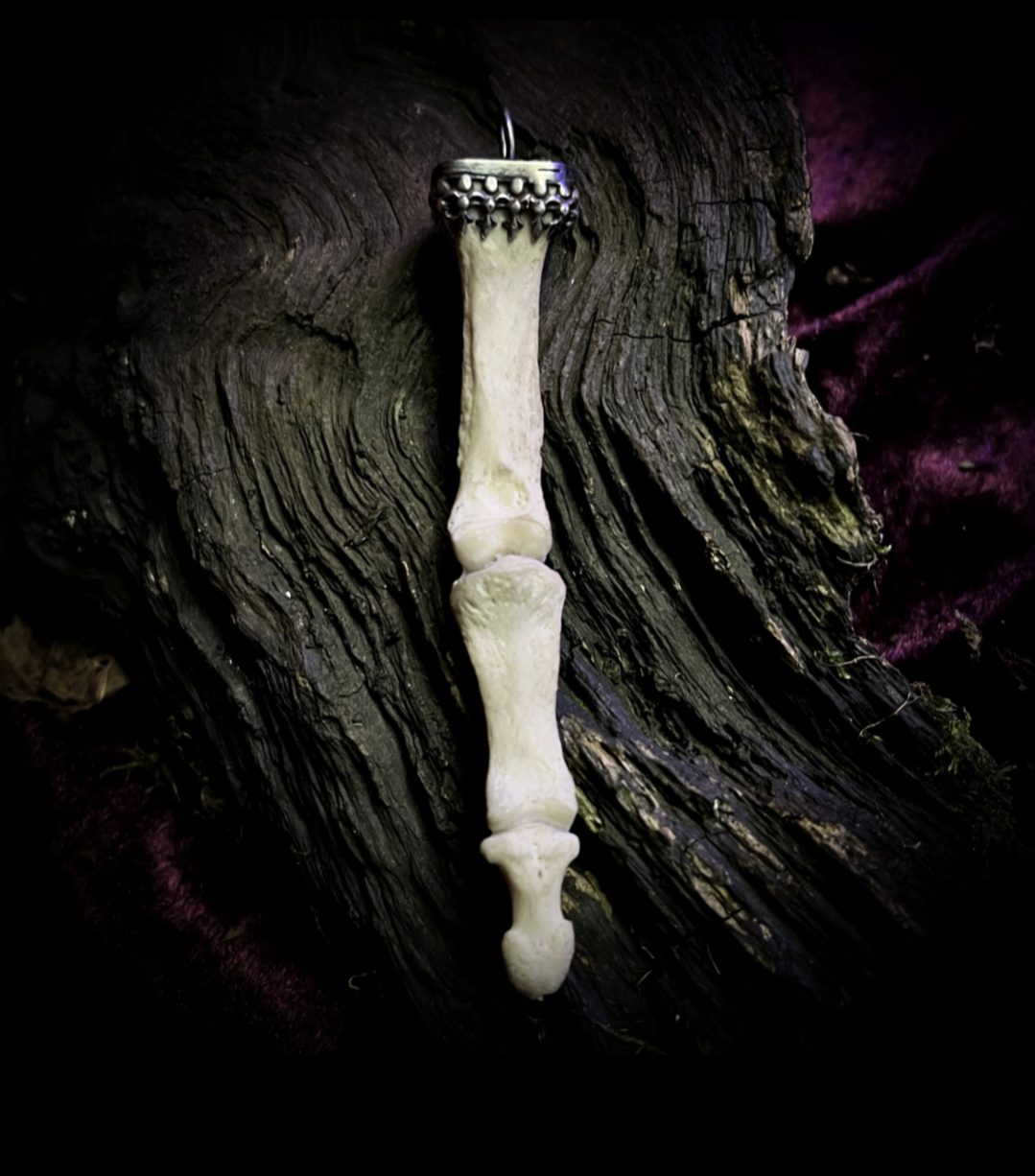 Human bone and sterling silver finger pendant